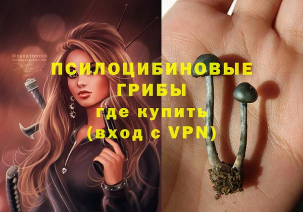 прущие крисы Надым
