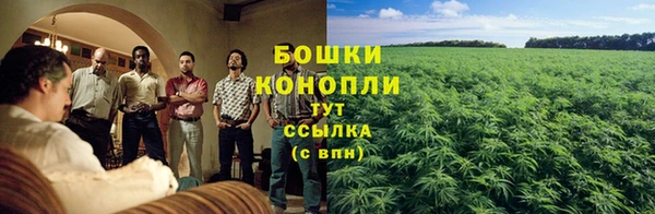 прущие крисы Надым