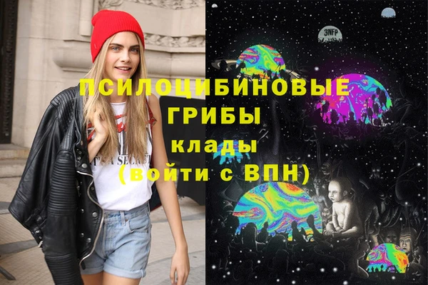 прущие крисы Надым