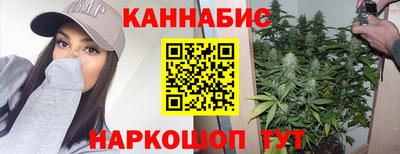 крисы Тула