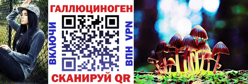 магазин  наркотиков  Тюмень  мориарти официальный сайт  Галлюциногенные грибы Psilocybine cubensis 