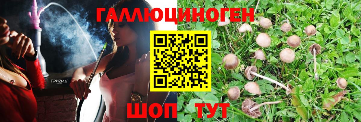 Псилоцибиновые грибы Cubensis Тюмень