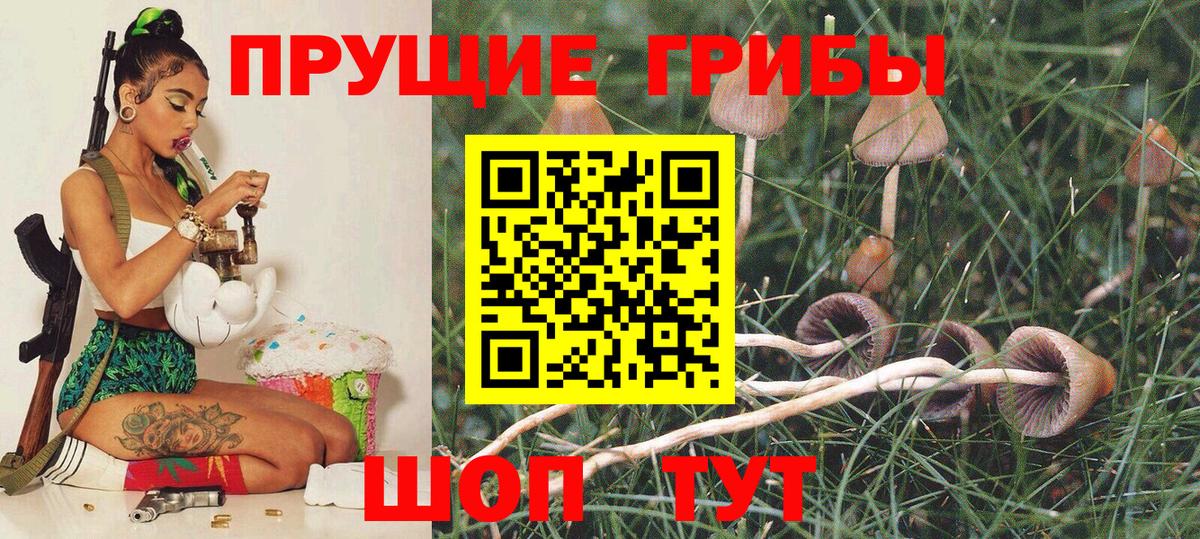 купить наркотики цена  Вход с VPN  Тюмень  Псилоцибиновые грибы мухоморы  Псилоцибиновые грибы мицелий 